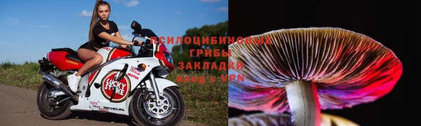 COCAINE Алексеевка