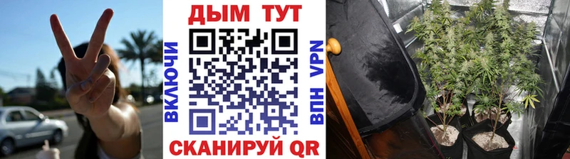 KRAKEN tor  Гдов  Каннабис планчик  мориарти как зайти  дарнет шоп 